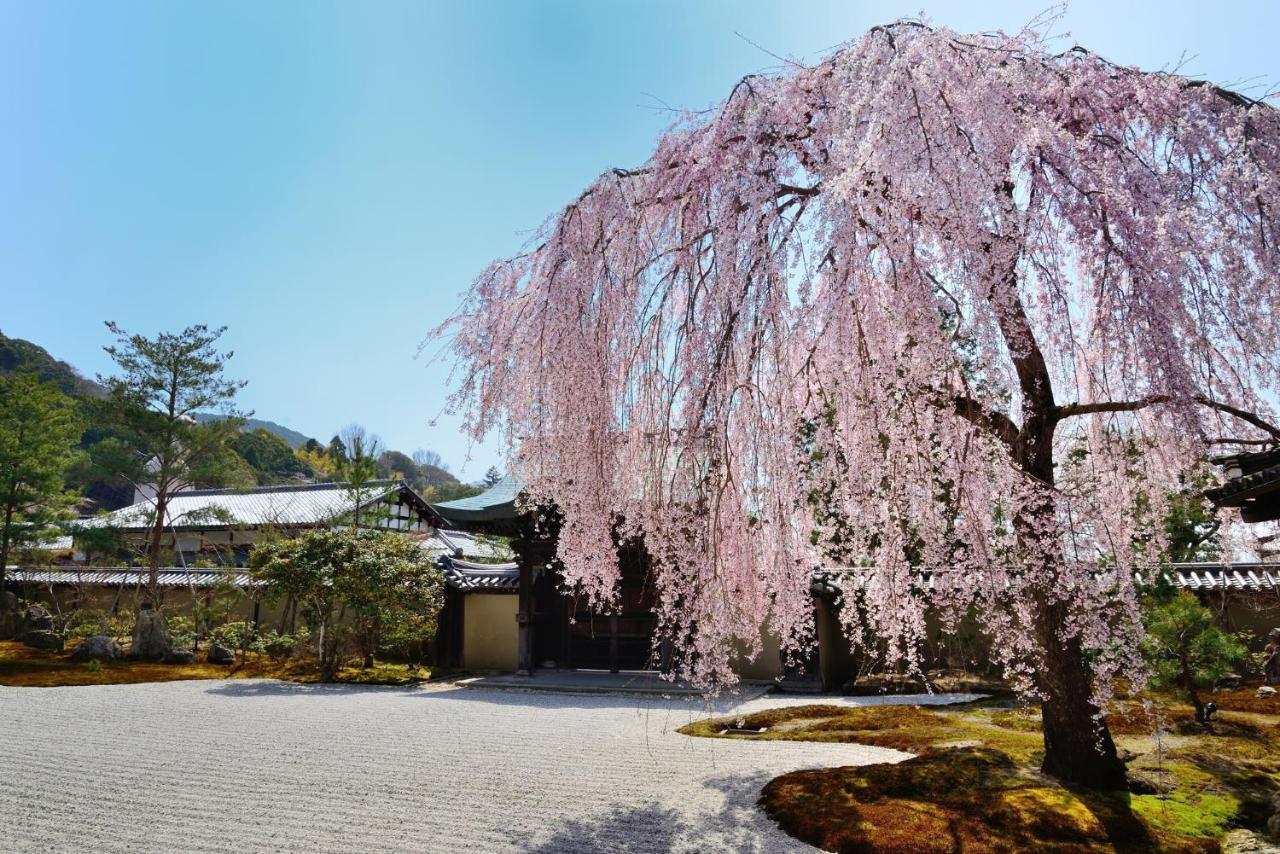 酒店 Sotetsu Fresa Kyoto-kiyomizu Gojo
